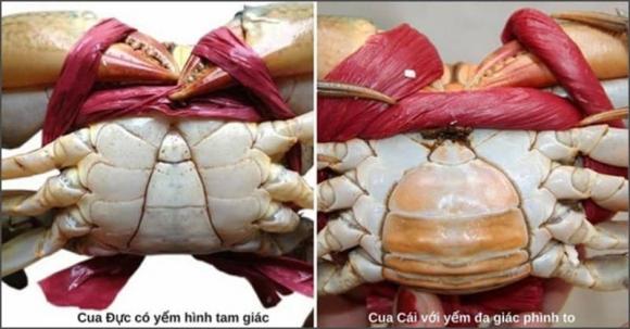 cua-ghe
