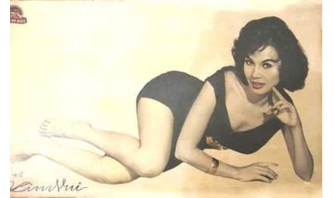 kim vui