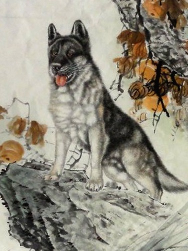 tu-vi-02