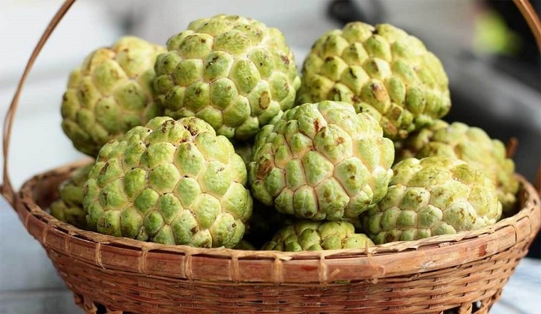 nguoi-khong-nen-an-na-02
