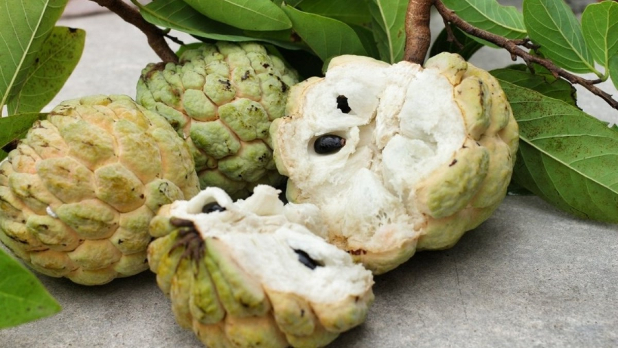 nguoi-khong-nen-an-na-03