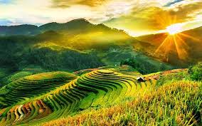 mucangchai