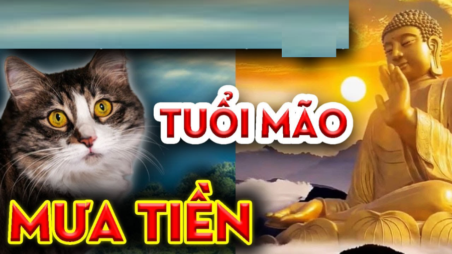 nguoi-tuoi-mao