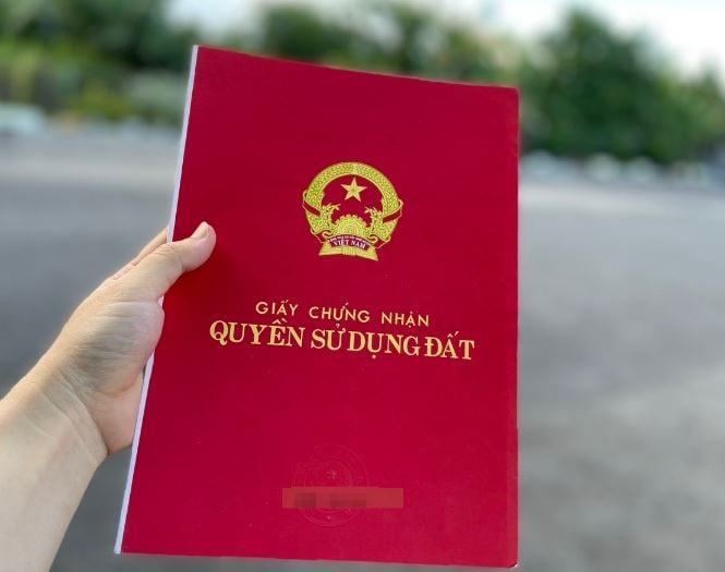 thue-phi-sang-ten-so-do-02