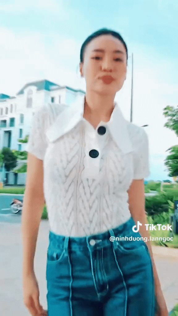 ninhduonglanngoc