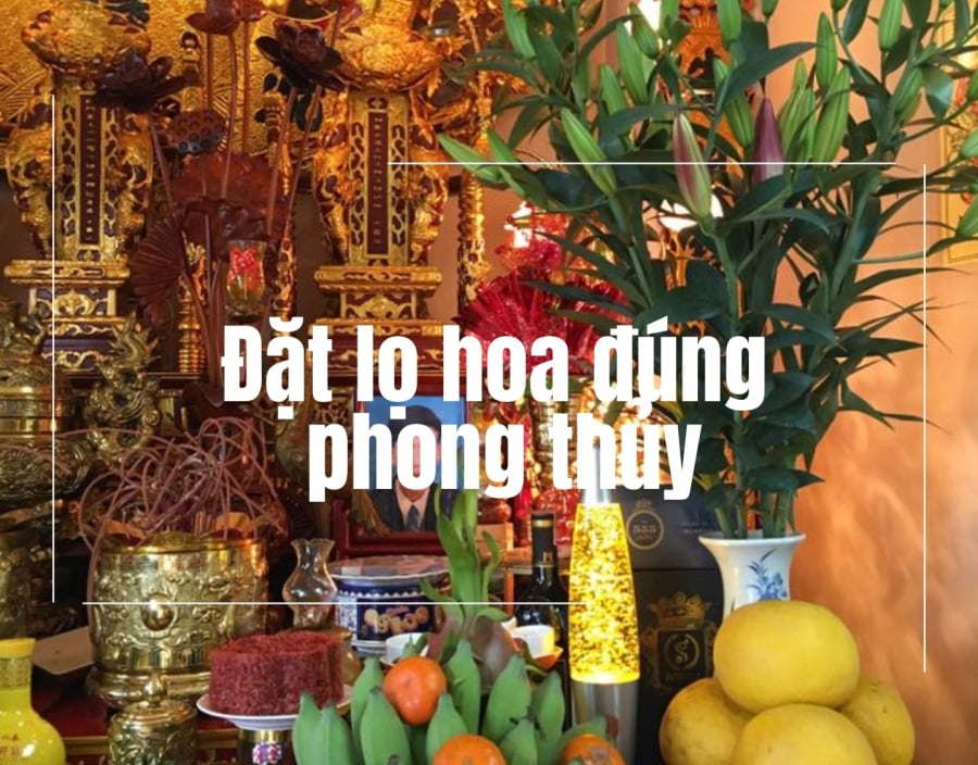 lo-hoa-nen-dat-ben-nao-4
