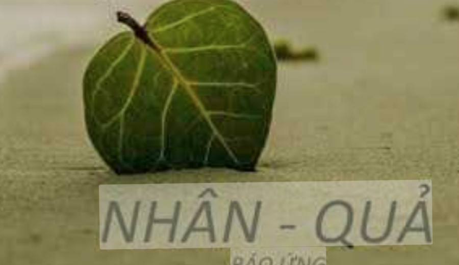 nhan qua