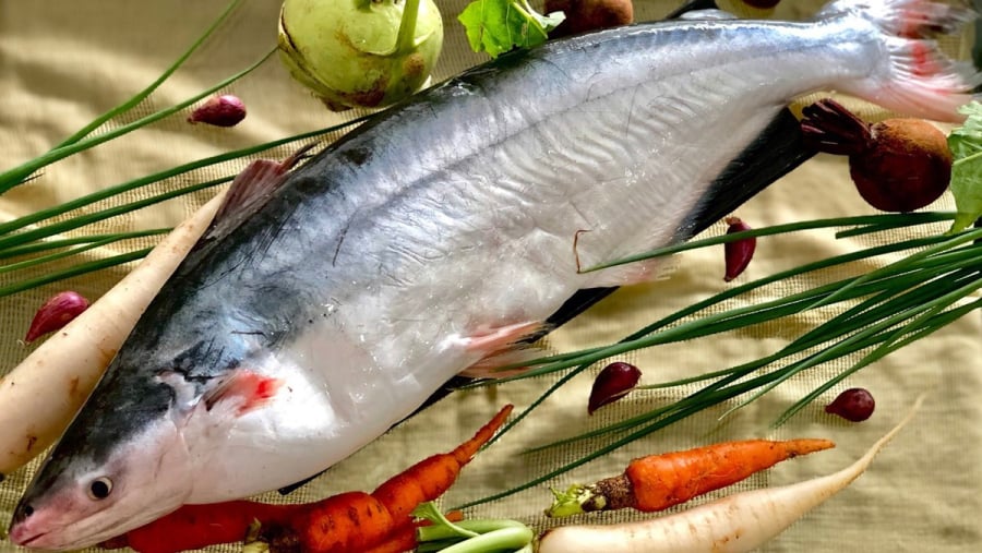 Cá dứa đặc sản miền Tây