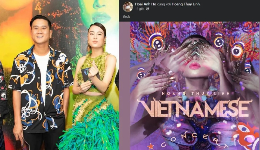 ho hoai anh
