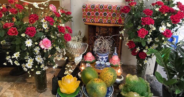 hoa cung ram may man