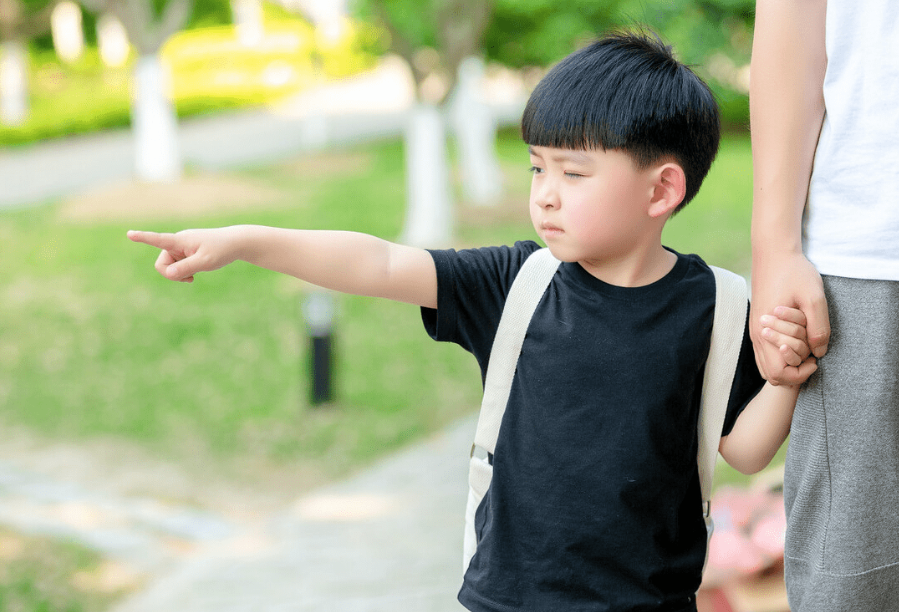 (ảnh minh họa)