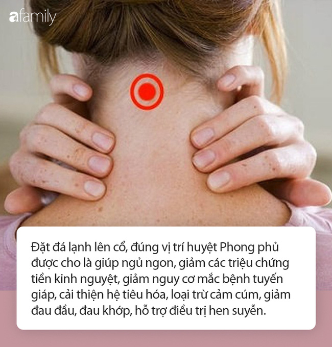 da lanh ngu ngon
