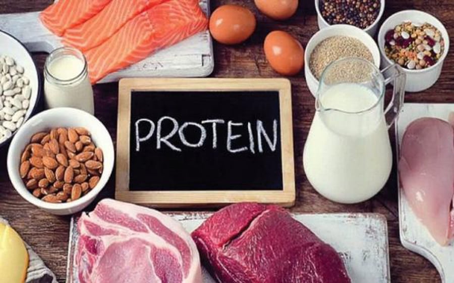 protein