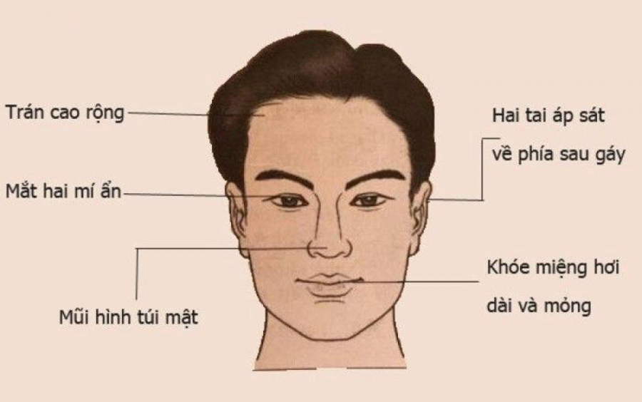 xem-tuong-mat1