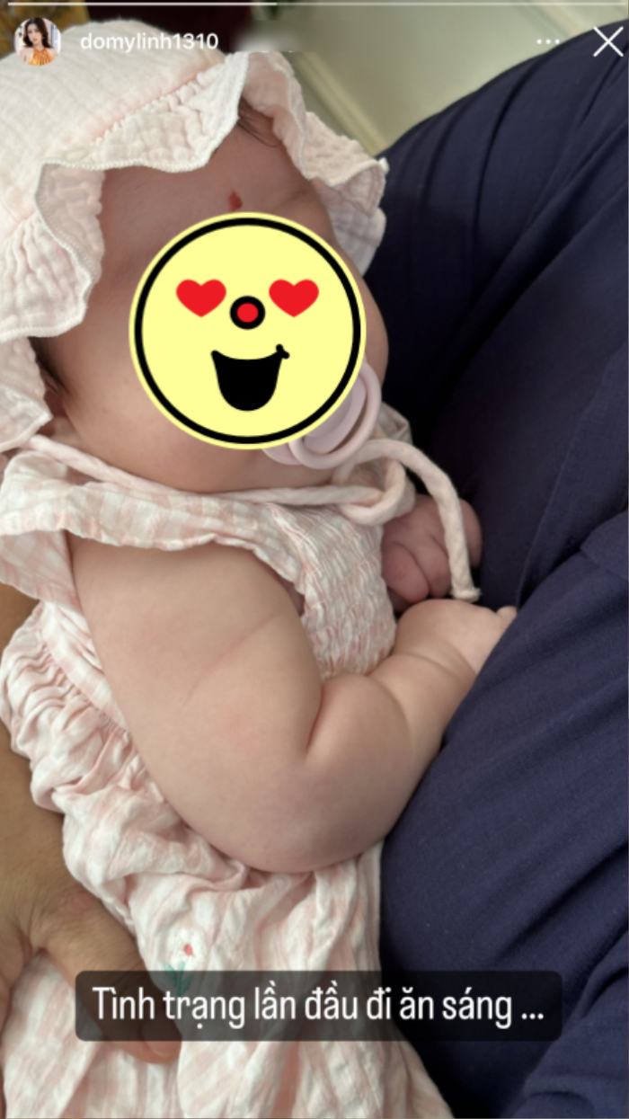 domylinh
