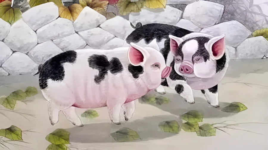 tuoi-hoi-may