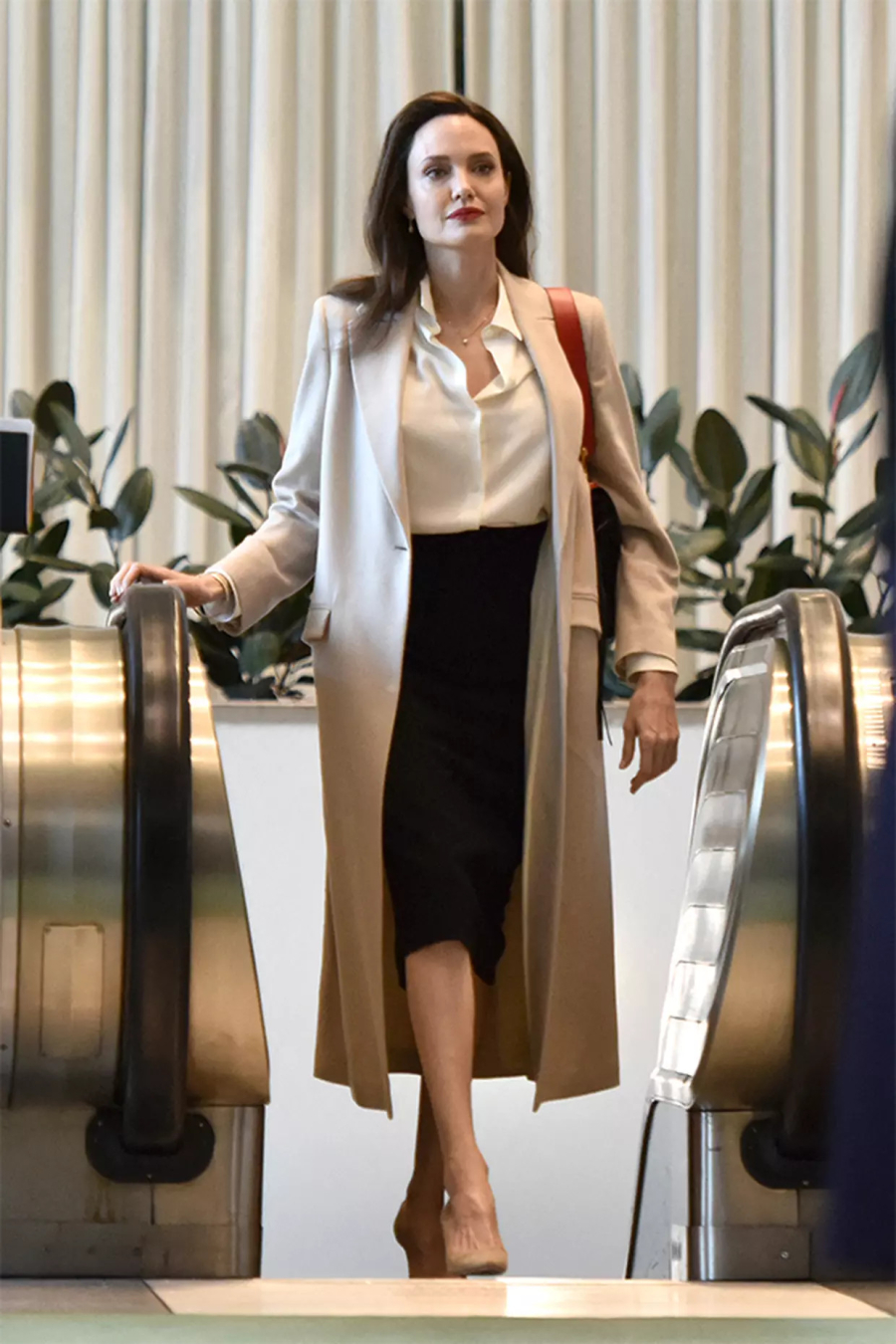 angelina 6