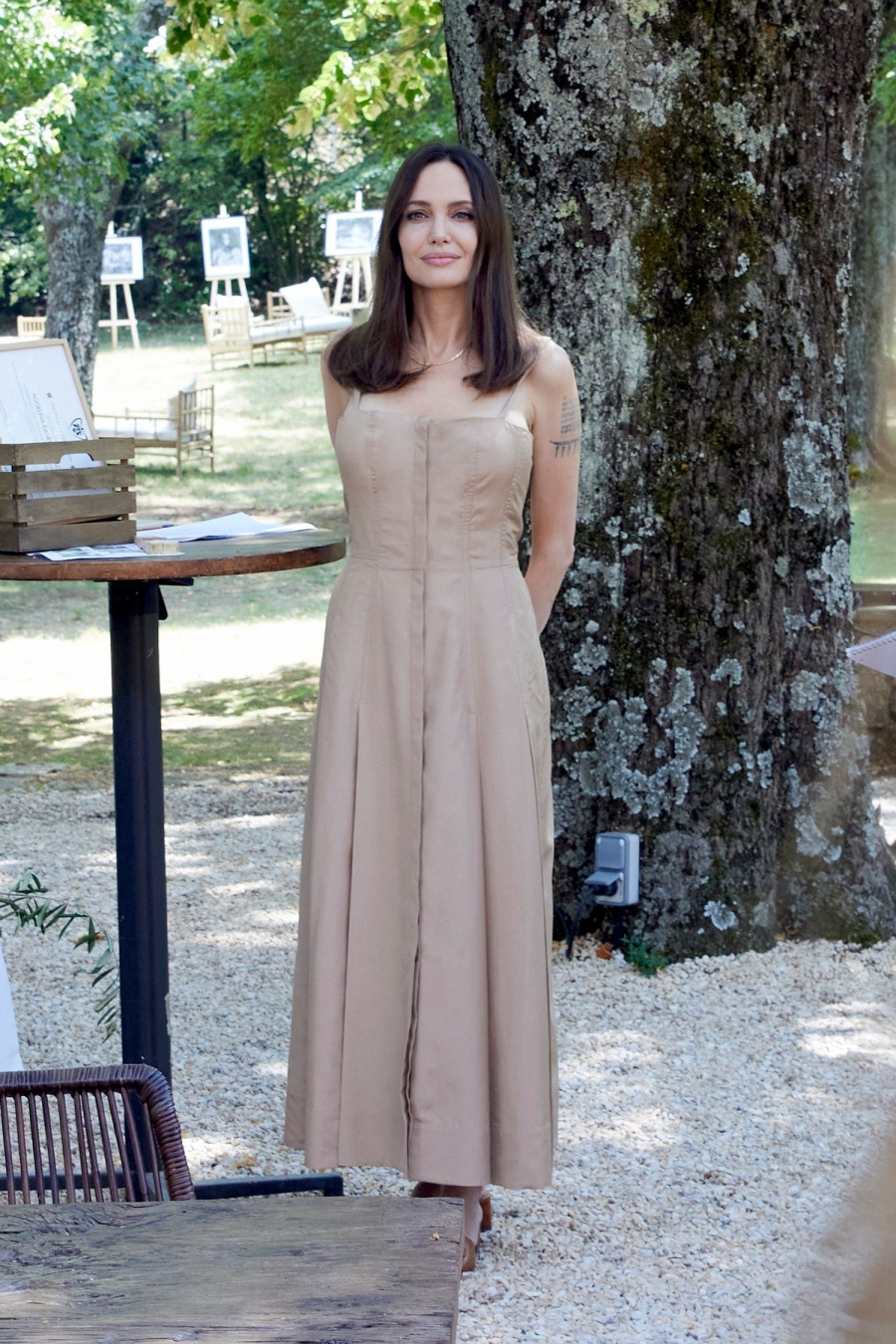 angelina 7