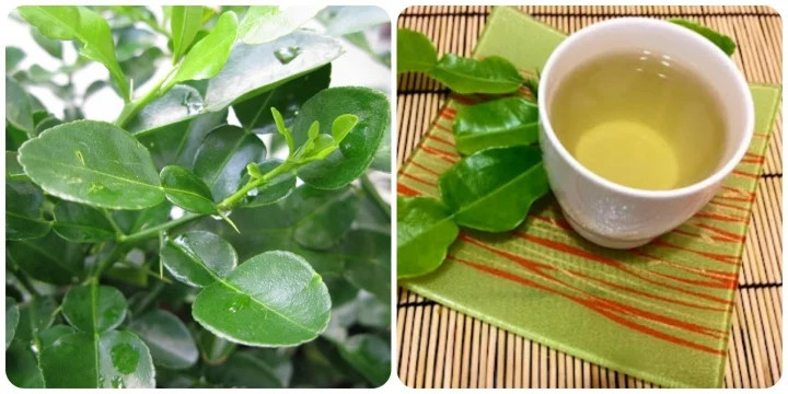nuoc la chanh