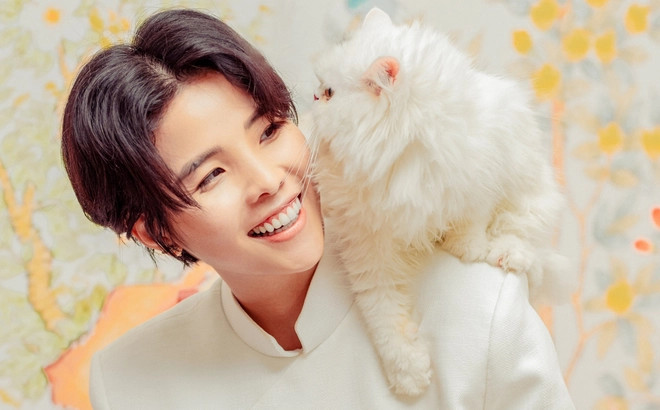 cat tuong