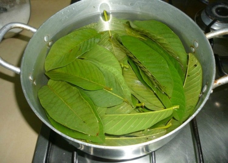 nuoc la oi