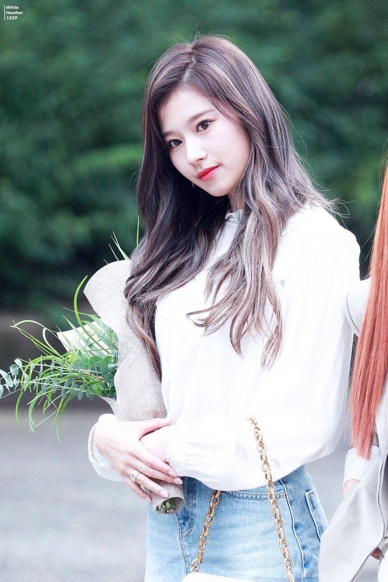 sana 3
