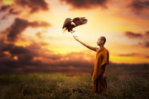 tham lam se kho dau