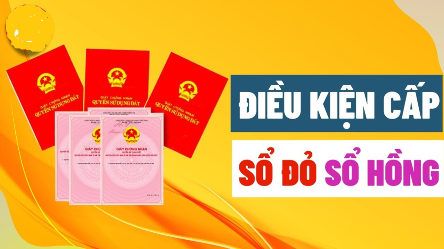 Những trường hợp không được cấp Link nhập code shbet https freecode shbet pages dev dù gửi hồ sơ đi cũng bị gửi về