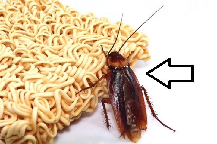 diet-gian-bang-mi-tom