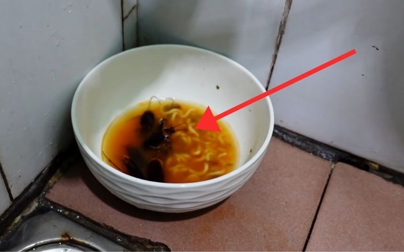 diet-gian-bang-mi-tom3