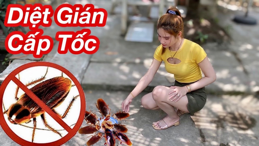 diet-gian-nhanh