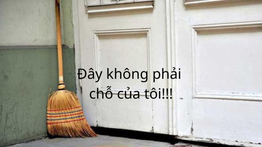 cat choi cua ra vao