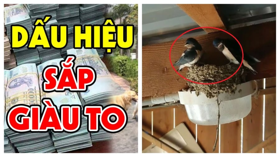 nha co dau hieu sap giau to