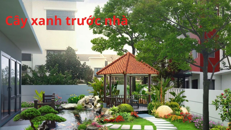 cong nha
