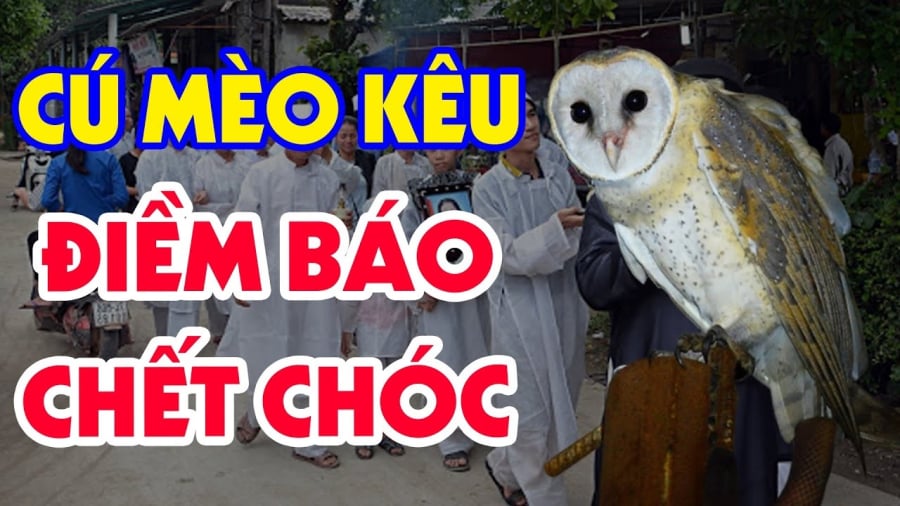 cu-meo
