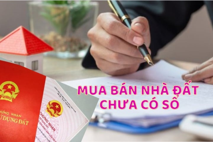 dat-chua-so-do