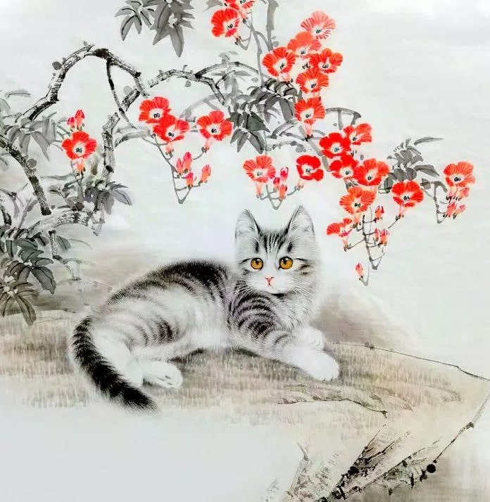 tuoi_mao
