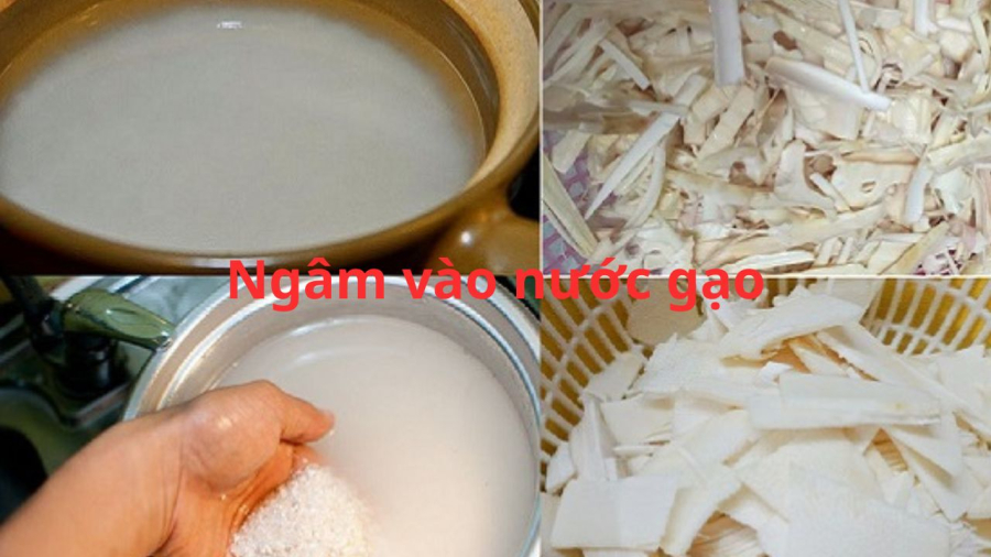 mang ngam nuoc gao