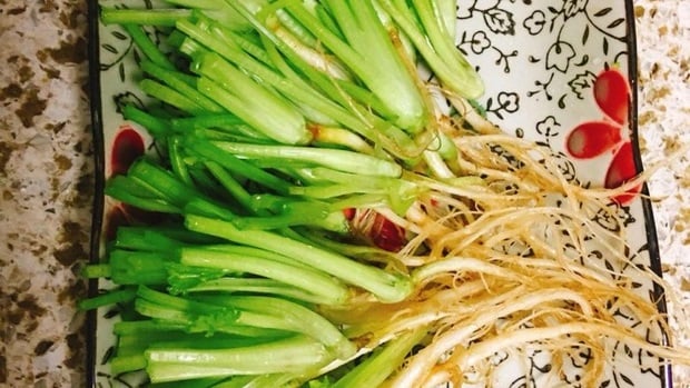 loai-re-bo-hon-cu