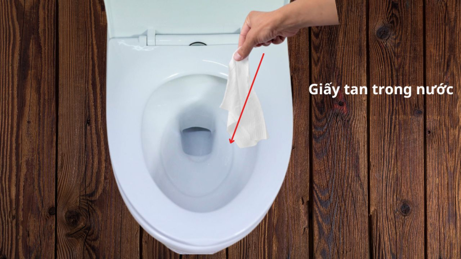 tha giay vao bon cau