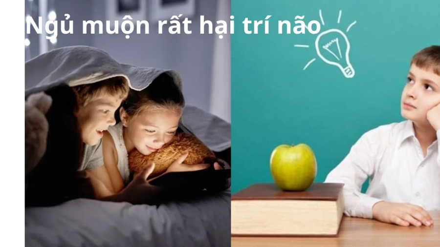 tre ngu muon giam thong minh