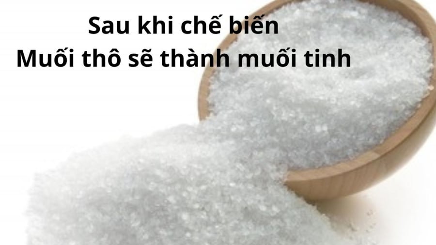 muoi tinh