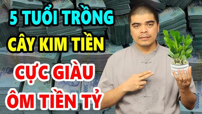 cay kim tien