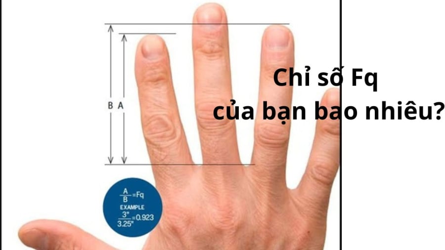 chi so fQ