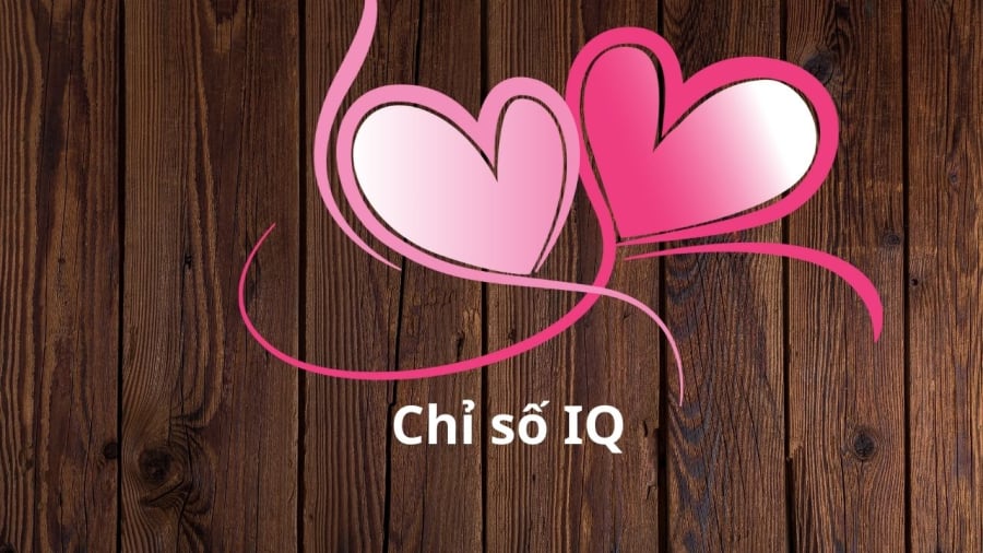 chi-so-iq