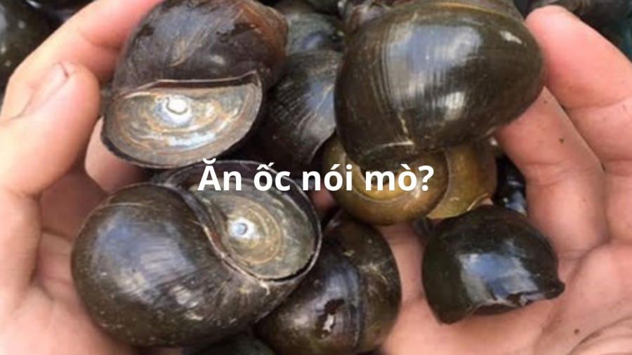 an-oc-mung-mot