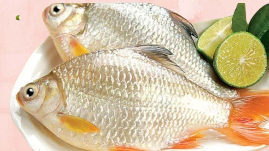 khu-tanh-ca
