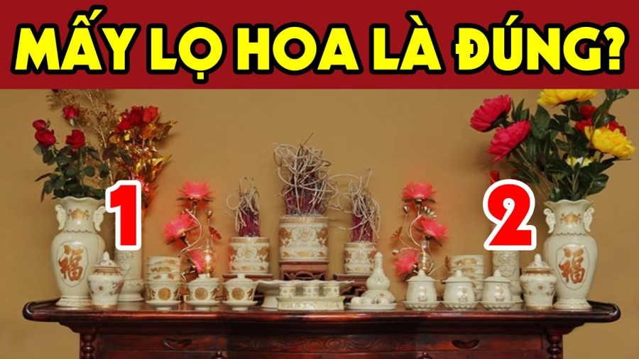 hoa cung