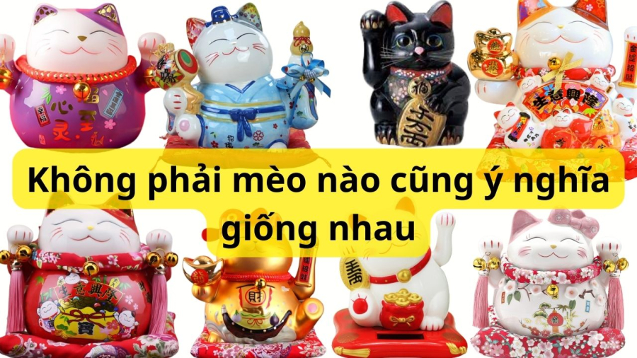 y-nghia-meo-than-tai
