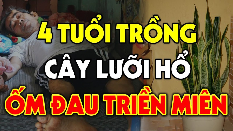 4 tuoi trong luoi ho xui xeo
